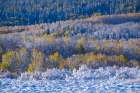 USA, Colorado, Rocky Mountain National Park, late fall. Art Print